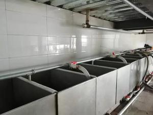 环境展示